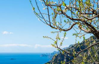 YourHome - Casa Ivi Positano - Photo 51