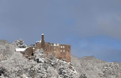 Apartment Schlossblick - Top location - Foto 40