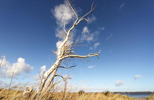 Ferienwohnung Strand25 - Foto 9