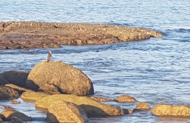 Recanto Maravista - Photo 52