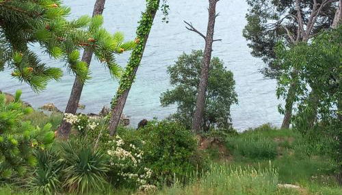 Chambre d hôte les heures claires - Foto 2