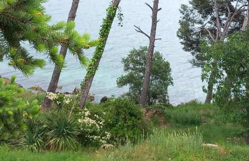 Chambre d hôte les heures claires - Foto 2