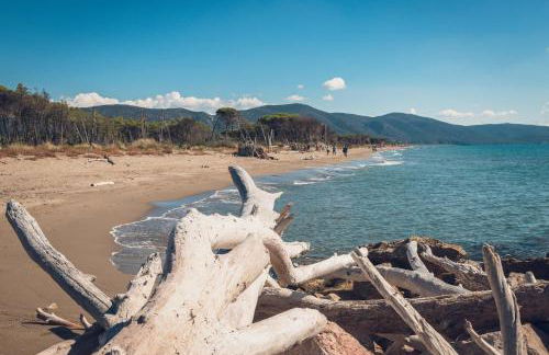 Poggiolivi Agriturismo Bio in Maremma - Foto 46