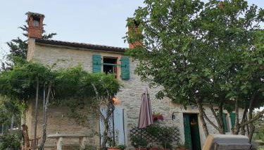 Cottage Casa Vinela - Foto 2, Garden, sunbed, Garden view