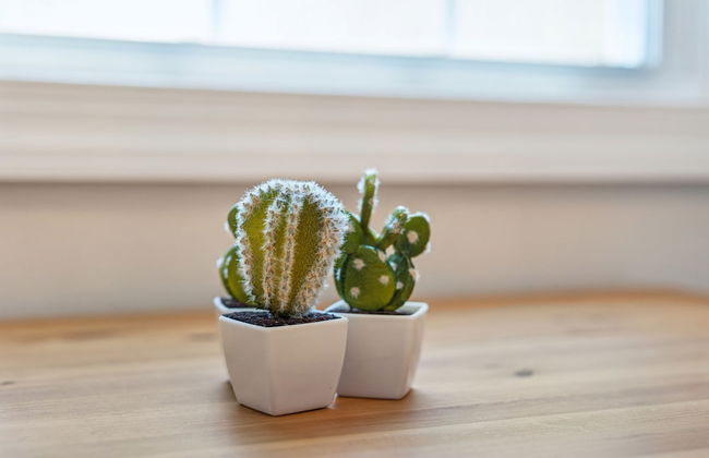 Bayview Bungalow Lake Beach Kayaks and More - Foto 41