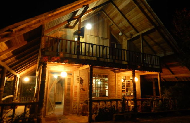 Dogs and Fish Dream Land - Foto 43