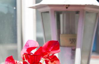 Estudio Maignon - Foto 13