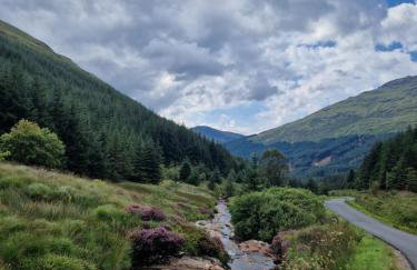 No 2 Planetree - Foto 35