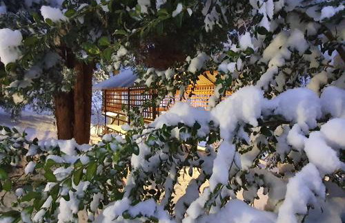 Leśny Zakątek - Foto 33