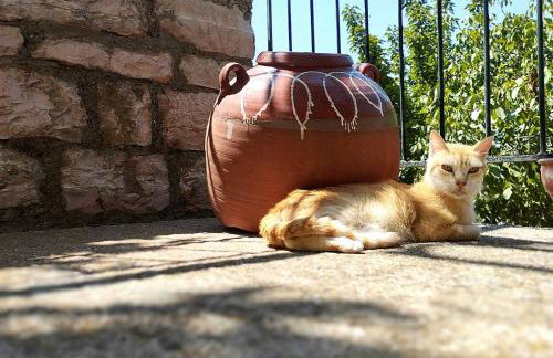 Το Αρχοντικό της Λενιώς - Foto 6