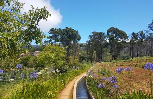 Quinta Frizado - Foto 45