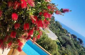 les gites de pietra rossa - Foto 21