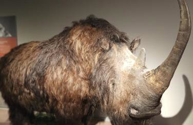 Apartments Kristic - Foto 59