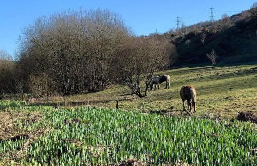 Old Canal-Side Cottage Taff Trail Merthyr Tydfil - Photo 39