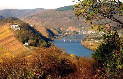 Apartment Perle-Lollipop by Interhome - Foto 16