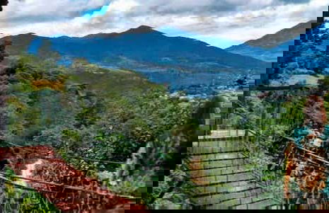 Excursión a la finca Paseo de las Nubes - Foto 1