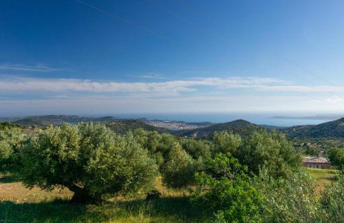 Villa Anthodesmi - Foto 23