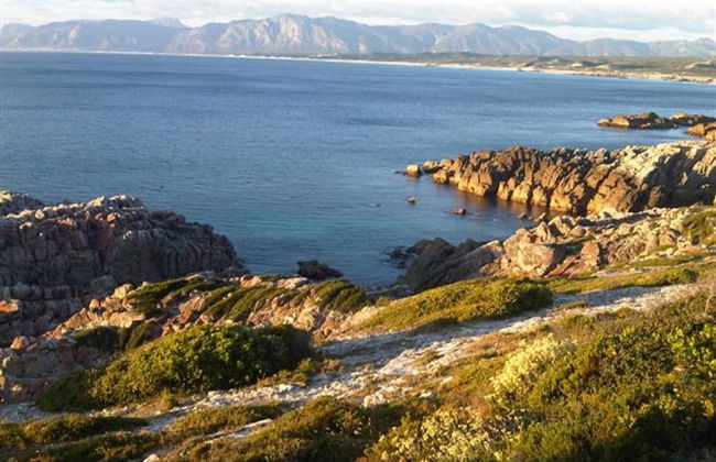 The Lookout at Whale Cove - Photo 18