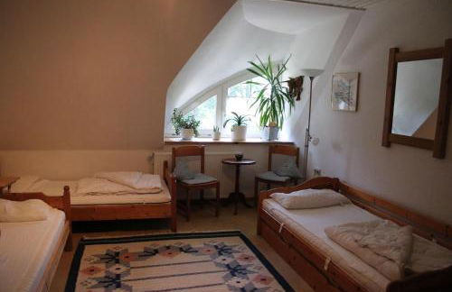 Erlenhof-Steinau-Fachwerkhaus-mit-Reetdach - Foto 10