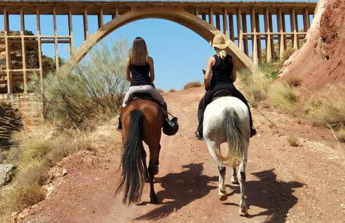 Apartamentos La Granja - Foto 32