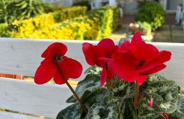 Demetra Apartment Sperlonga - Foto 4