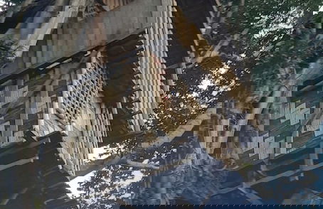 Glowing view tree house and Bangalow - Foto 28