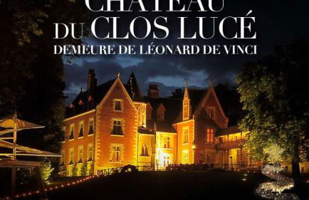 Gite Ecuries Vineuil Jump - Foto 47