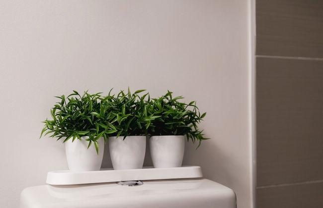 QuickStay - Enchantment in Yorkville - Yonge & Bloor - Photo 29