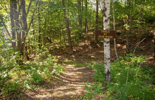 Cozy Luxury Cabin w Hot Tub, Fire Pit, King Bed - Foto 21