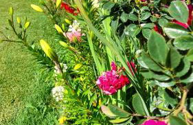 Quinta dos Sentidos Eco Nature Retreat in Azores - Photo 62