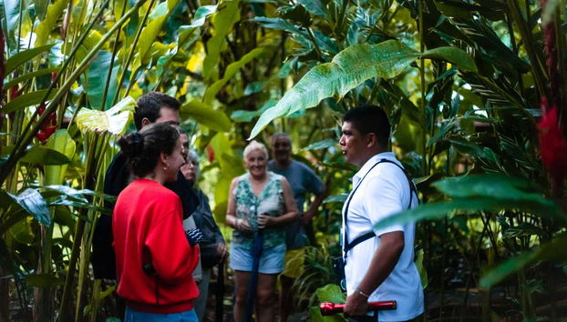 Learn about the biodiversity of Tortuguero National Park