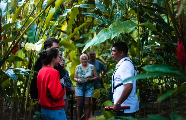 Tour de 2 ou 3 dias pelo Parque Nacional Tortuguero - Foto 2