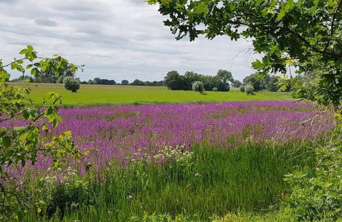 Auszeit auf dem Drachenhof, das Hyggehaus - Foto 46