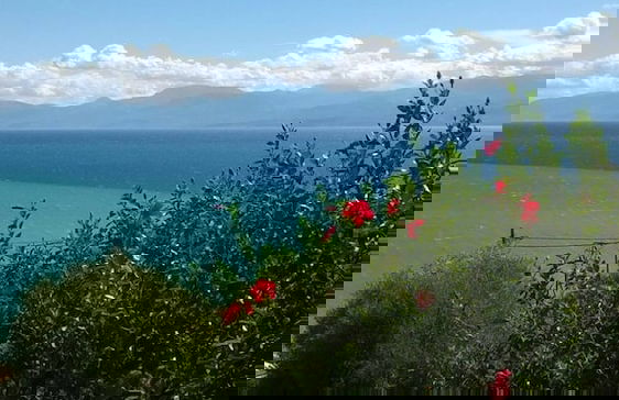 Cozy Apollon Villa, Sea View, Next To Galaxidi - Photo 18