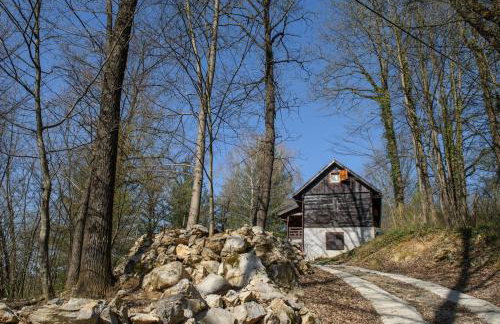 WOODEN HOUSE near the River Kupa - Foto 41