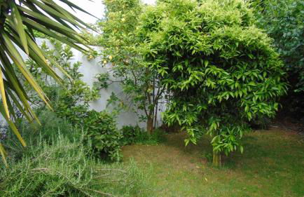 Casa Landim - Foto 46