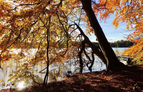 Ferienwohnung Plaue Auszeit mit Privatstrand und Bootsliegeplatz - Foto 29