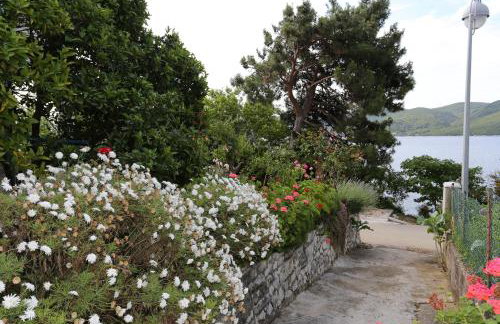 Apartments by the sea Viganj, Peljesac - 10116 - Foto 10