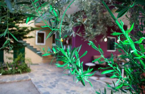 Ktima Anastasia - Foto 53