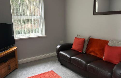 New Road Apartment - 2 Bedrooms - Sleeps 3 - Foto 12