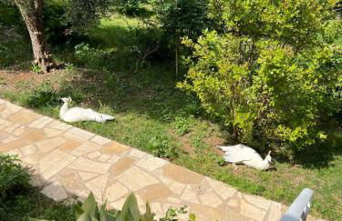 La Casa Dei Fiori - Foto 40