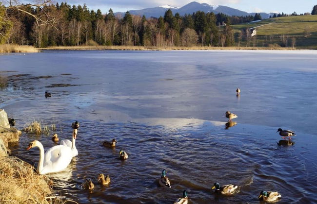 House Marina Modern Retreat - Foto 2