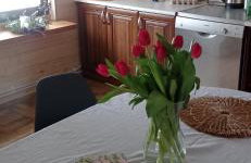 Domek z Piernika 729-656-514 - Foto 19