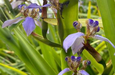 Lindo Sítio Estilo Moderno - Foto 60