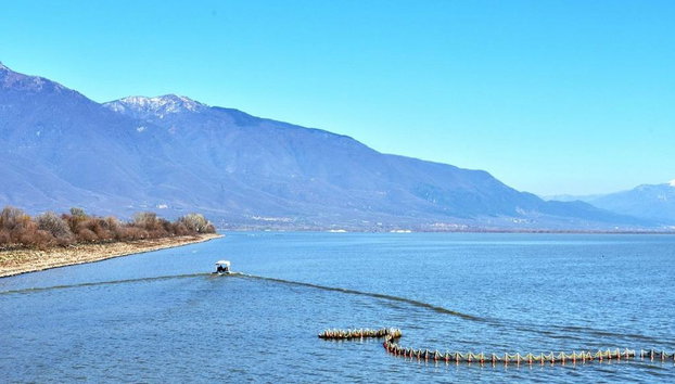 Kerkini Lake - Private Full-Day Tour - Foto 5