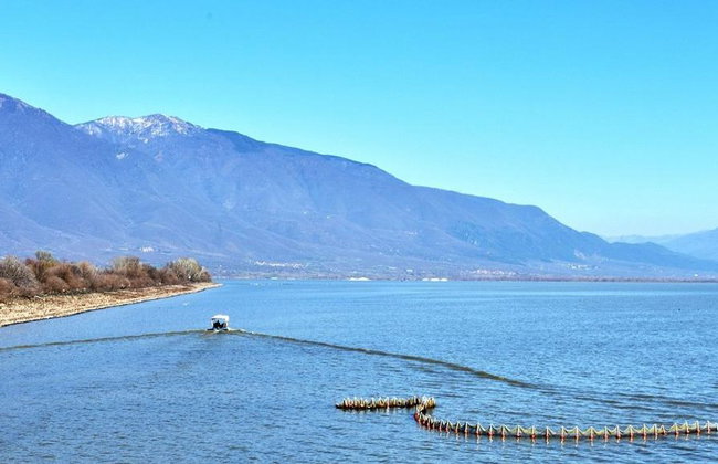 Kerkini Lake - Private Full-Day Tour - Photo 5