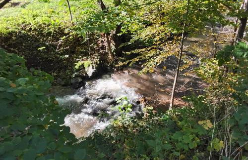 Hochwald Balkon - Foto 46