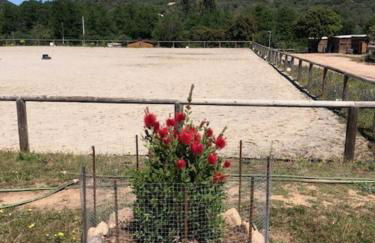 Les Chalets de Tesa - Foto 72