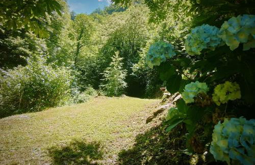 Casa Vacanze IL BOSCACCIO "Casa Serena" - Foto 40