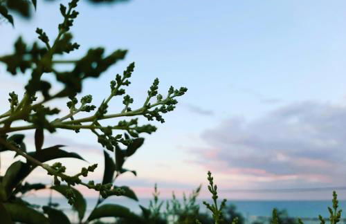 Bio Agriturismo Mare in Campagna - Foto 48